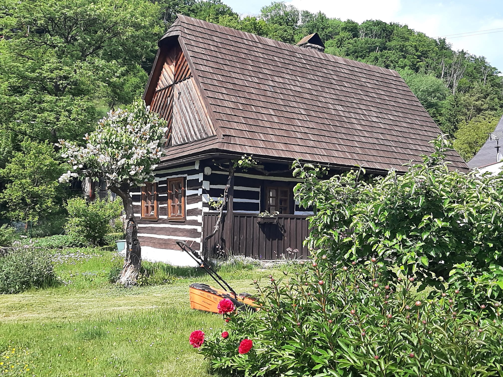 Brandýs nad Orlicí