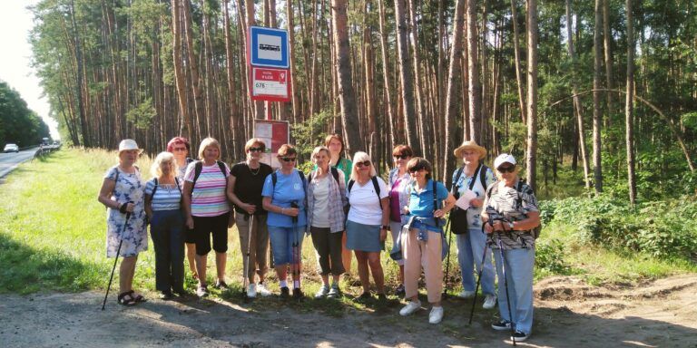 Bor – Oseček