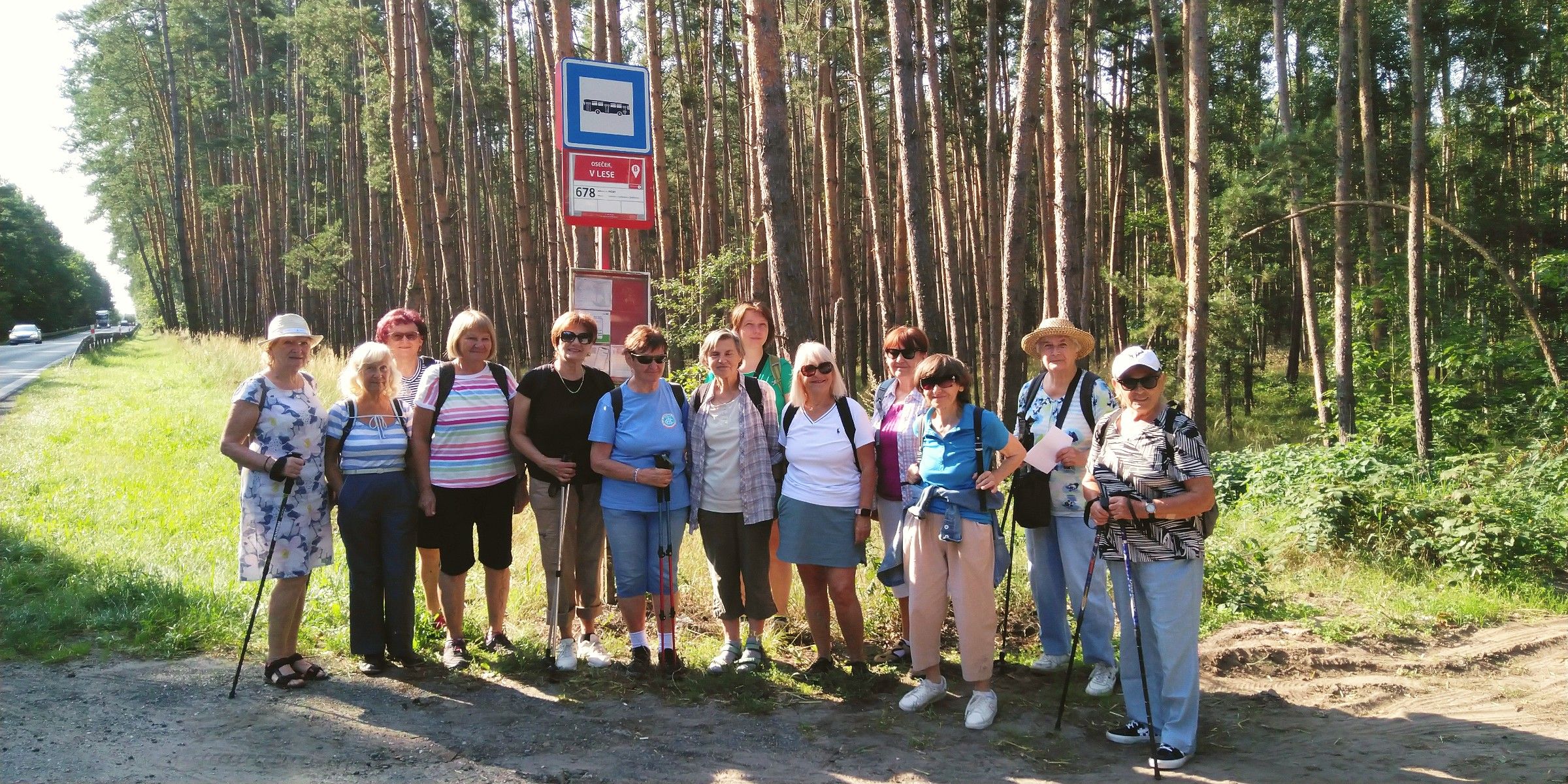 Bor – Oseček