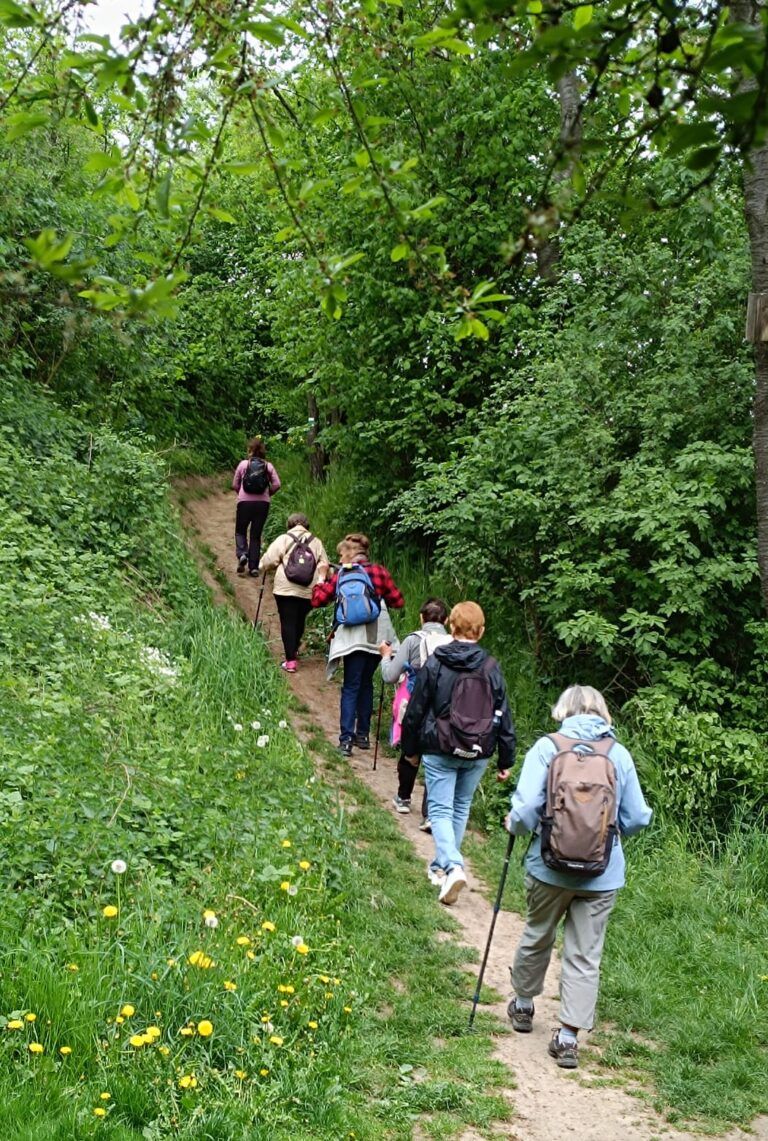 Mšeno – Kokořín
